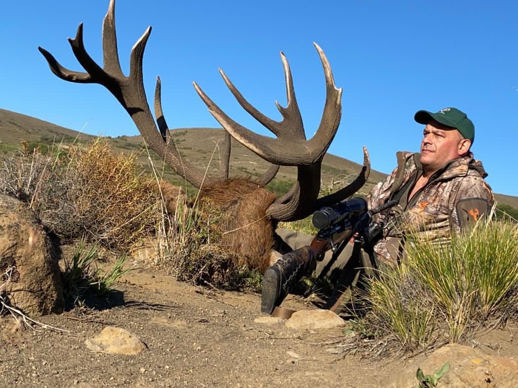 Hunter with a free-range red stag in Patagonia